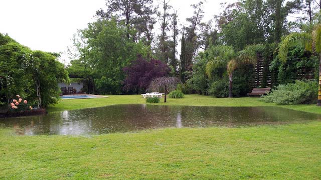 Teich im Garten