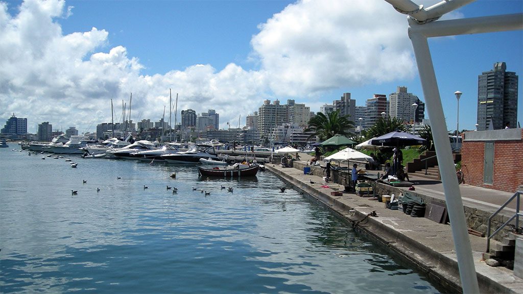 Im Hafen von Punta del Este