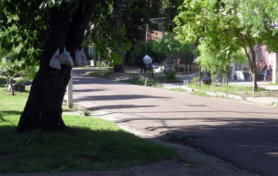 Müll und Grünschnitt in Uruguay