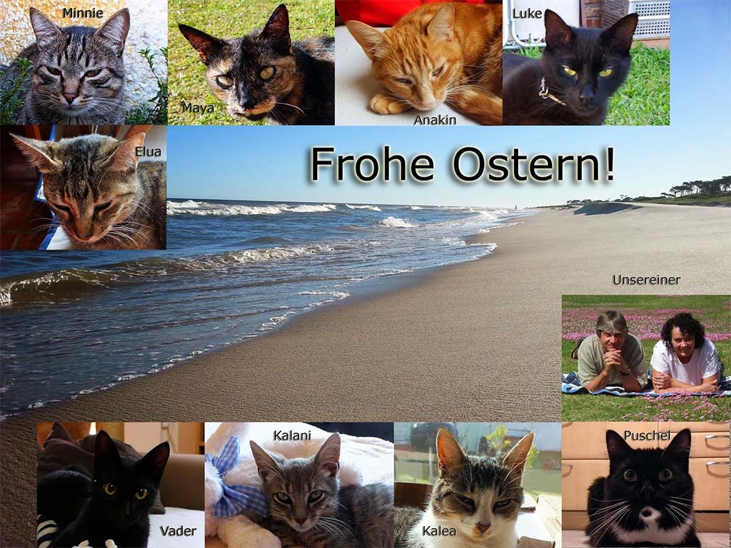 Frohe Ostern 2014