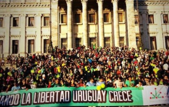 Cannabis-Freigabe: Uruguay erlaubt Kauf von maximal 40 Gramm pro Monat