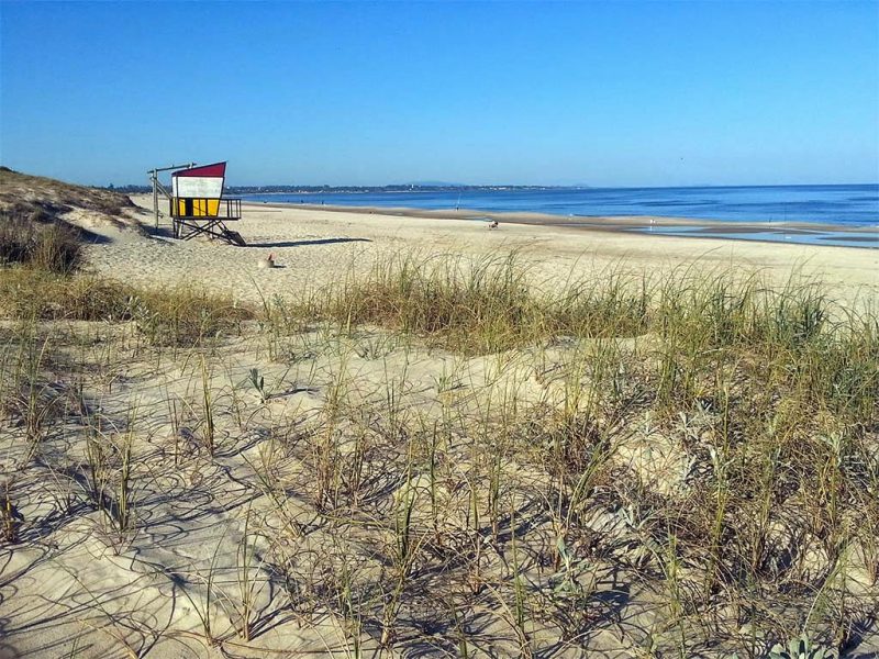  Strand Las Toscas - 18.08.2014