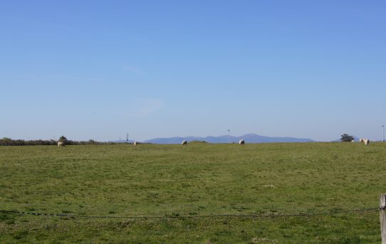 Ausflug auf’s Land