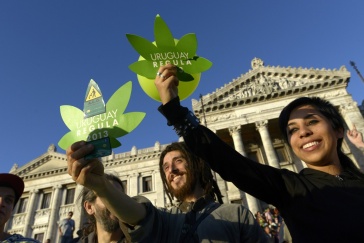 Marihuana-Verkauf in Uruguay mit Startschwierigkeiten