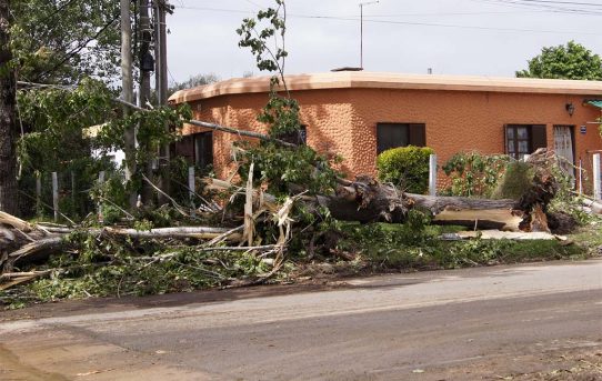 Bilder nach dem Sturm