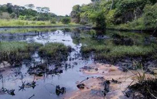Ölpest in Venezuela: Regime verschweigt ökologische Katastrophe