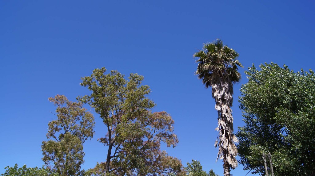 Strahlend blauer Himmel über Uruguay.