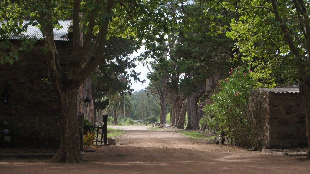 Quebrada del Castillo