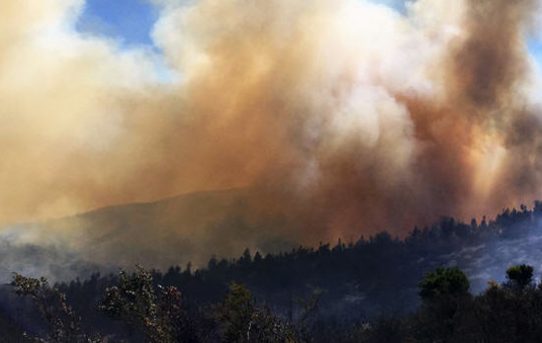 Waldbrände in Chile: Warnung vom Auswärtigen Amt