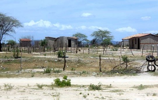 Katastrophale Dürre: Dutzende von Alligatoren sterben in Brasilien