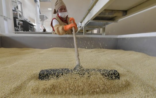 Bolivien wirbt für Bio-Quinoa in Deutschland