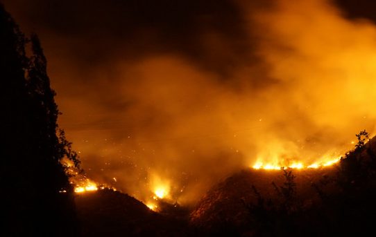 Massive Brände in Chile offenbaren ökologische Krise des Landes