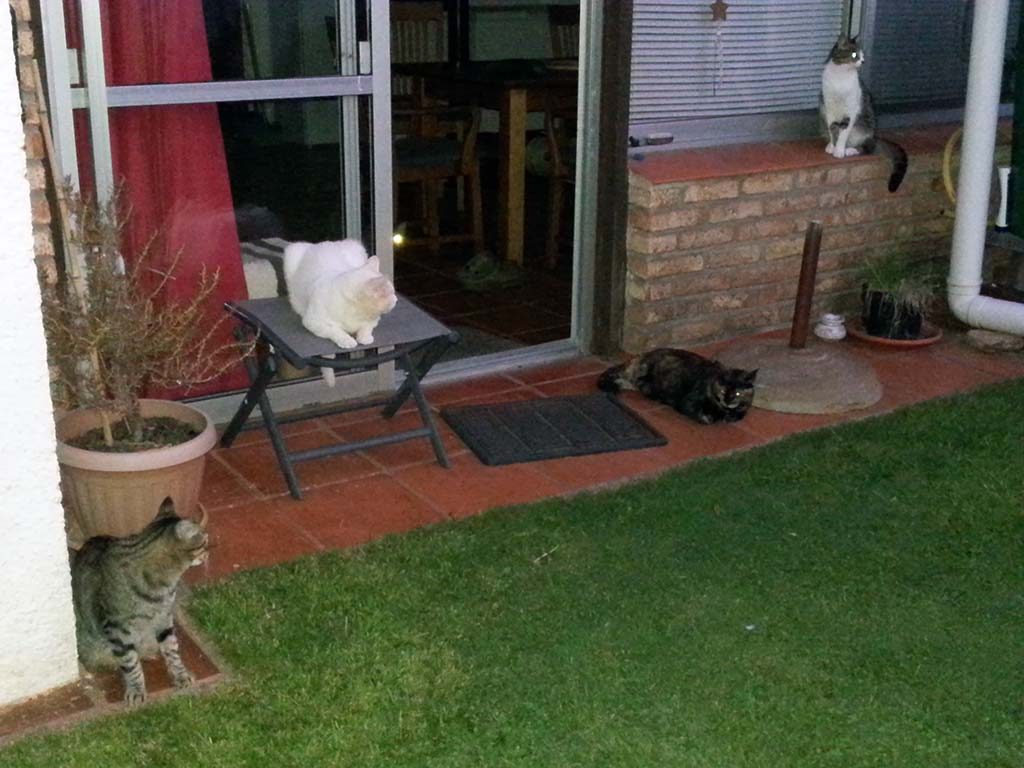 Abendliches Sit-in im Garten