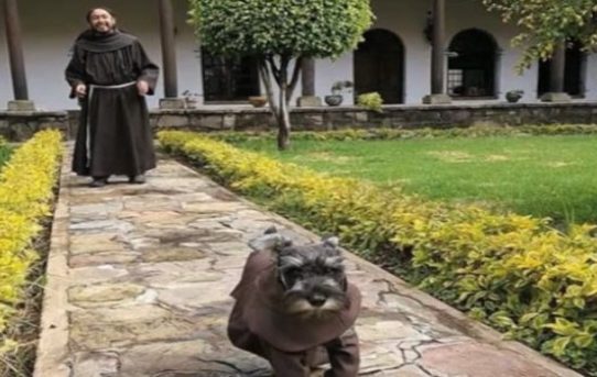 Bolivien: Franziskanerkloster akzeptiert vierbeinigen Mönch
