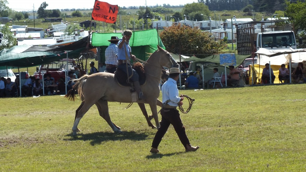 In Chile heißt er Huaso, in Uruguay und Argentinien Gaucho: Viehhirten zu Pferd