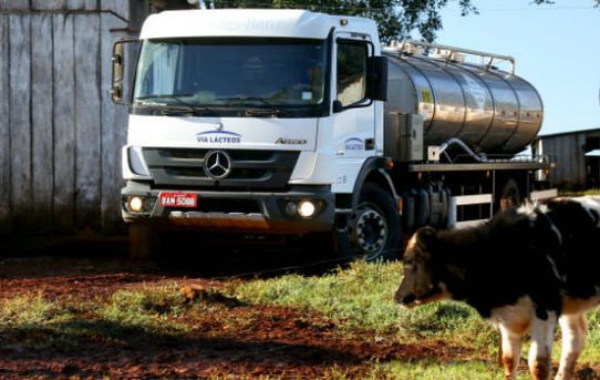 Brasilien: Milch aus der Pampa – Mercedes-Benz bringt sie frisch!