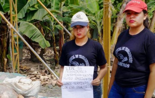 Ecuador: Lidls vergiftetes Versprechen