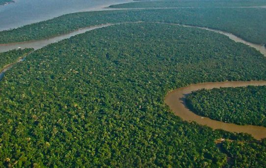 Brasilien: „Größter Angriff auf Amazonasgebiet seit 50 Jahren“