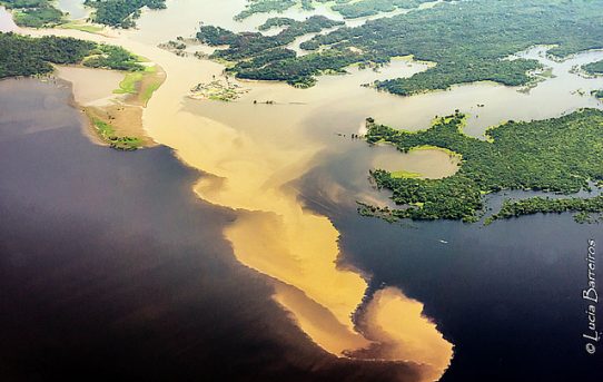 Brasilien: Gericht stoppt Temer-Dekret zum Bergbau im Amazonas