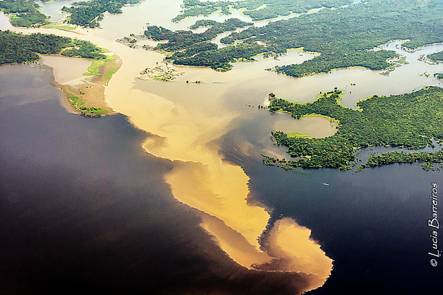 Die De-facto Regierung in Brasilien will über 46.000 Quadratkilometer Amazonas-Schutzgebiet für den Bergbau freigeben