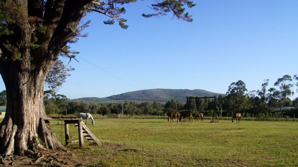 Quebrada del Castillo Piriápolis