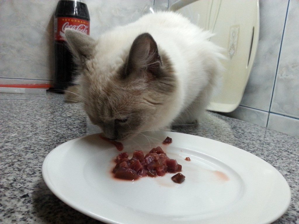 Ana hat die Liebe zum Fleisch entdeckt!