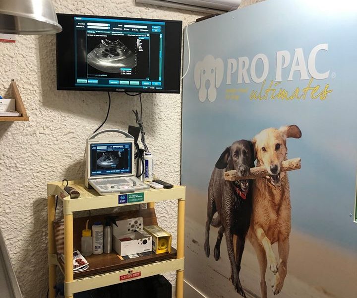 Ultraschall Untersuchungszimmer. Photo Credit: Veterinaria SAV