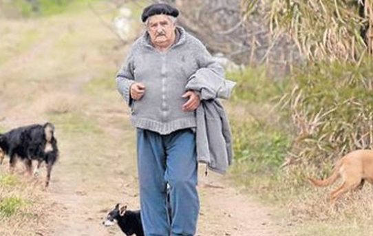 Uruguay – Bremen: Professoren schlagen José Mujica für Friedensnobelpreis vor