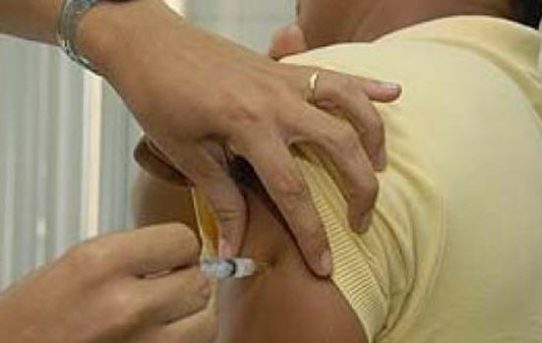 Brasilien: Bestätigte Fälle von Gelbfieber steigen um fast 40 Prozent