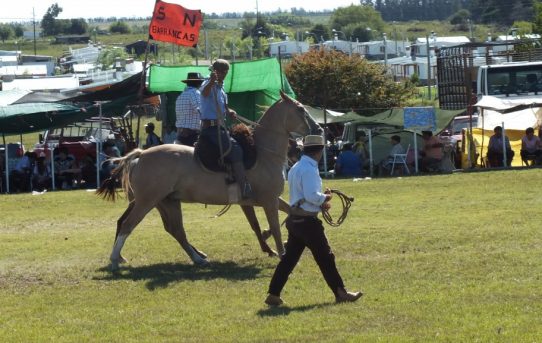 Gauchos in Uruguay wollen Bräuche als Kulturerbe anerkennen lassen