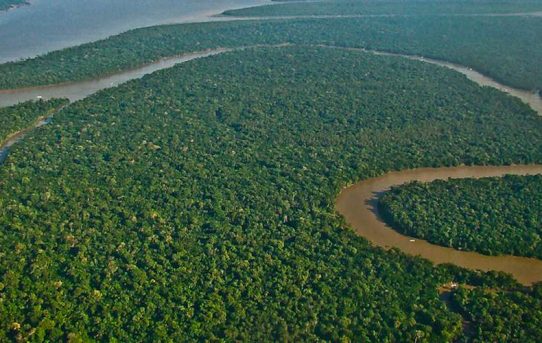 Vorläufig gerettet: das Renca-Schutzgebiet in Brasilien