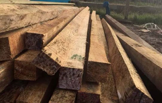 Baumaterialien in Uruguay – Holz