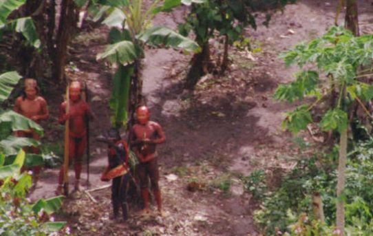 Amazonas-Indianer bitten nach „Massaker“ um Hilfe