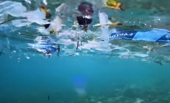 Chile wird Plastiktüten in Küstengebieten verbieten