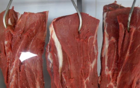 Freihandelsabkommen Mercosur: 400.000 Tonnen Rindfleisch pro Jahr in die EU